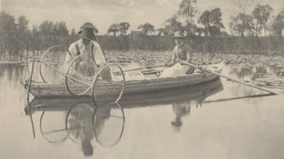 Colocando la Red de Arco de Peter Henry Emerson and T.F. Goodall