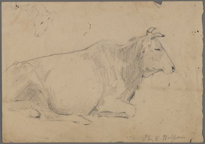 Toro sentado de Philip H. Wolfrom
