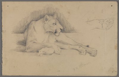Leona sentada de Philip H. Wolfrom