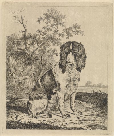 Perro perdiz sentado de Pieter Janson
