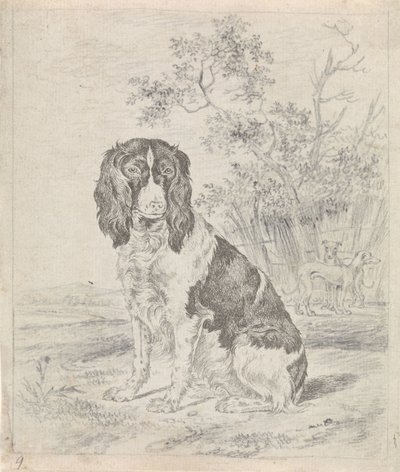 Perro perdiz sentado de Pieter Janson