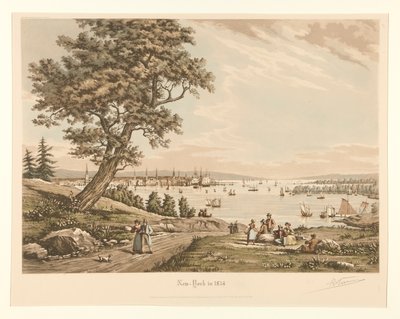 Nueva York en 1834 de Raoul Varin