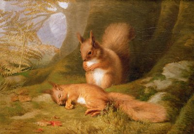 Ardillas en un Bosque, 1874 de Robert Collinson