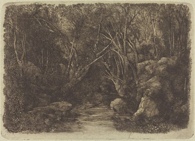 El arroyo en el bosque de Rodolphe Bresdin