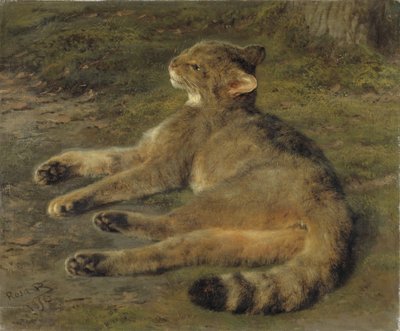 Gato salvaje, 1850 de Rosa Bonheur