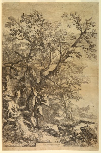 Edipo Expuesto en el Monte Citerón de Salvator Rosa