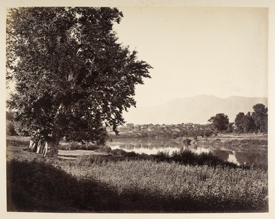 Beej Bihara era el Jhelum de Samuel Bourne