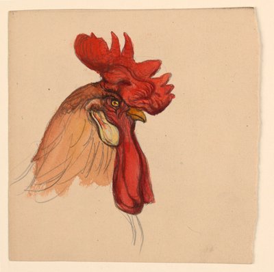 Cabeza de un gallo de Samuel Colman