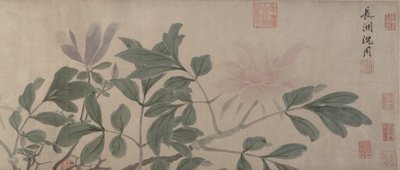 Flores de las cuatro estaciones de Shen Zhou