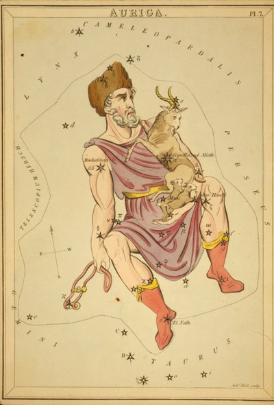 Auriga, Ilustración de 