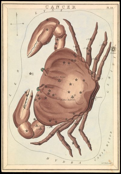 Cáncer, c.1825 (cartulina, papel, tejido ) de Sydney Hall