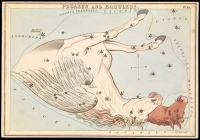 Pegaso y Equelo, c.1825 (cartulina, papel, tejido) de Sydney Hall