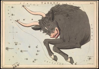 Taurus, c.1825 (cartulina, papel, tejido ) de Sydney Hall