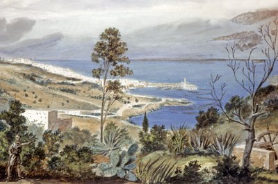 Vista de Argel, c.1835 (acuarela) de Theodore Leblanc