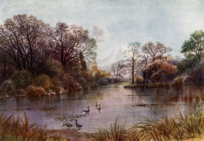 Jardines de Kew: El lago de Thomas Mower Martin