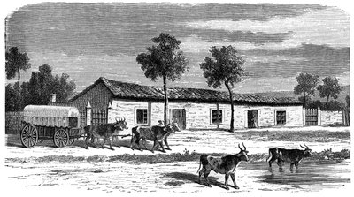 Una granja bóer, Sudáfrica, c1890 de Unbekannt