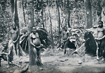 Una aldea pigmea, Cuenca del Congo nororiental de Unbekannt