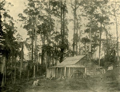 Una vivienda rústica, 1901 de Unbekannt