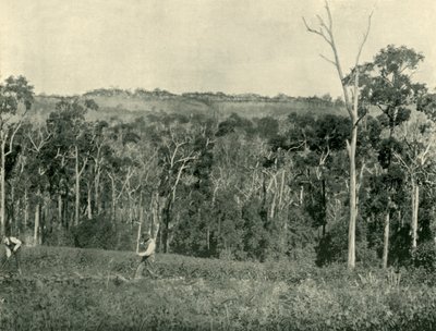 Una granja de montaña victoriana, 1901 de Unbekannt