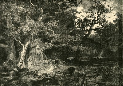 Un Viejo Bosque Alemán, 1890 de Unbekannt