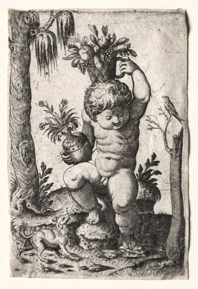 Niño con cesta de frutas, siglos XVI o XVII de Unbekannt