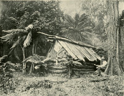 Cabaña en el monte, Dandenong Ranges, Victoria, 1901 de Unbekannt