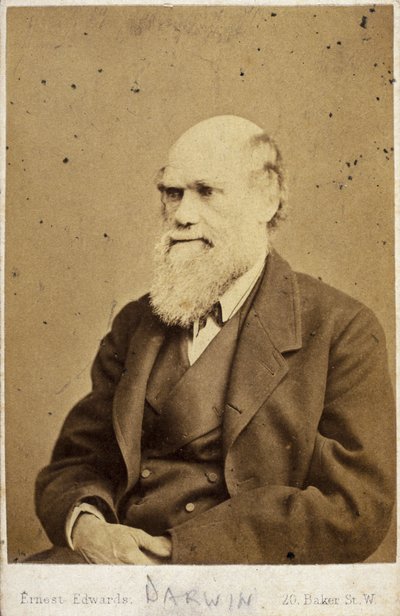 Charles Darwin, naturalista inglés, c 1870s de Unbekannt