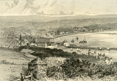 Vista general de Douglas, 1898 de Unbekannt