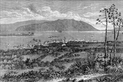 Puerto de Kingston, Jamaica, c1880 de Unbekannt