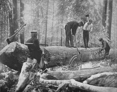 Explotación forestal en el río Ottawa, Canadá, c1897 de Unbekannt