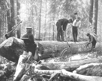 Explotación forestal en el río Ottawa, Canadá de Unbekannt