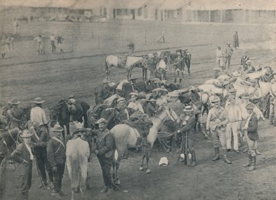 Caballo de Plumer, c1900 de Unbekannt