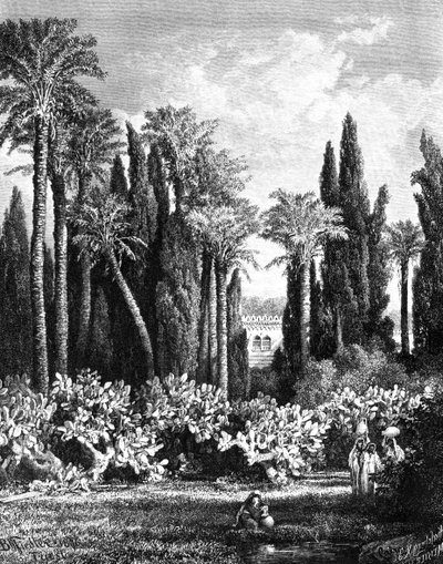 Jardín Príncipe en El Cairo, Egipto, 1880 de Unbekannt