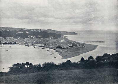 Teignmouth - Vista general del Dene, 1895 de Unbekannt