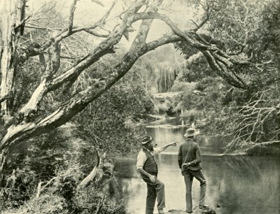 El lugar de lanzamiento, Upper Yarra, Victoria, 1901 de Unbekannt