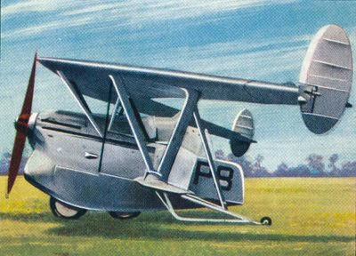 El Pterodáctilo Westland-Hill, 1938 de Unbekannt