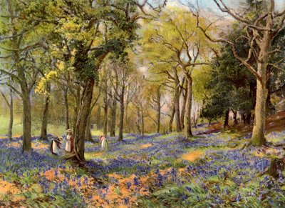 Jacintos silvestres en un bosque de Surrey, 1906 de Unbekannt