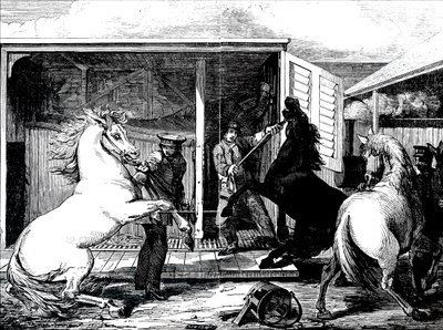 Caballos en la estación de tren de Gloucester de Unbekannt