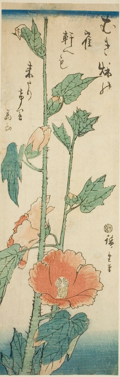 Hibisco de Utagawa Hiroshige