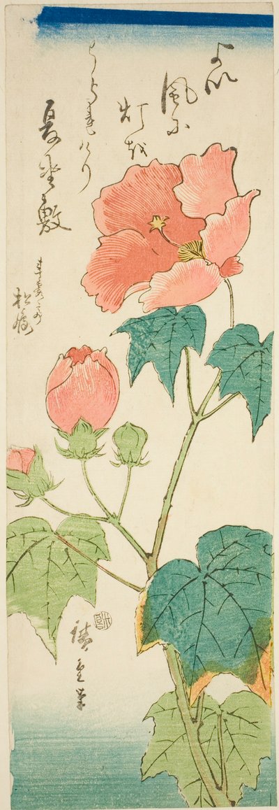 Hibisco de Utagawa Hiroshige