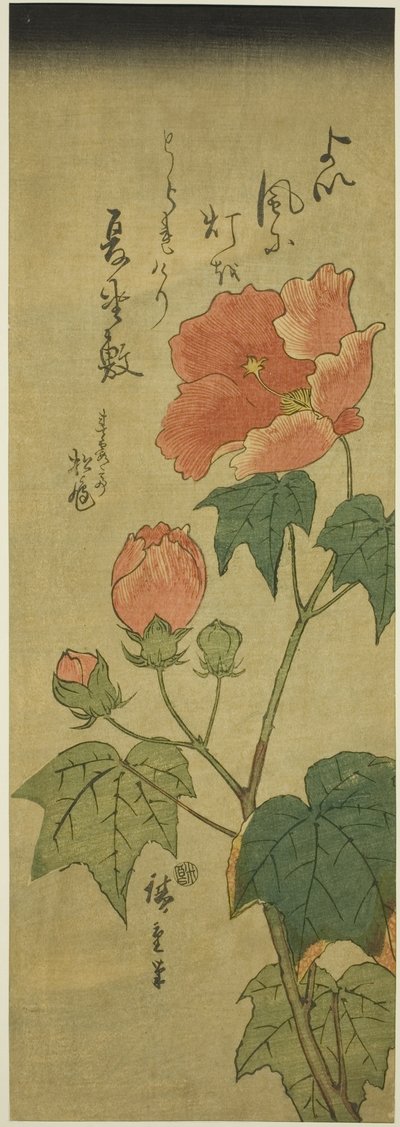 Hibisco de Utagawa Hiroshige