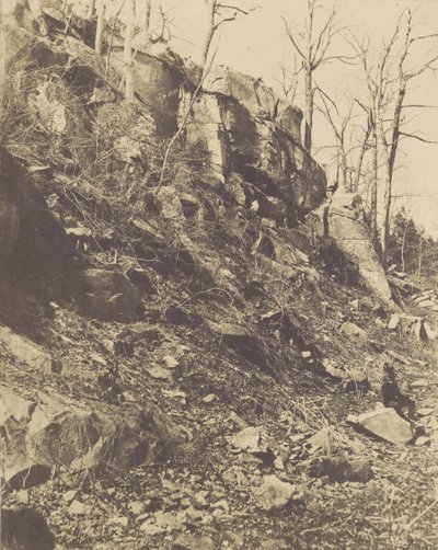 [Ladera rocosa], 1850s de Victor Prevost