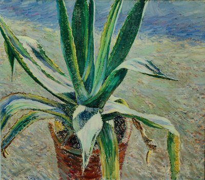 Agave, 1891 de Viktor Elpidiforovich Borisov Musatov