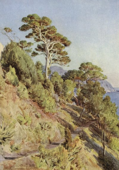 Villa Puma, Sestri Levante de Walter Frederick Roofe Tyndale