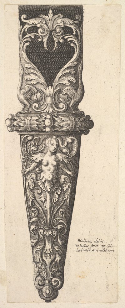 Parte inferior de una vaina, 1625-77 de Wenceslaus Hollar