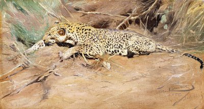 Un leopardo de Wilhelm Kuhnert