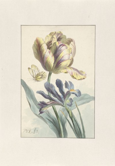 Tulipán e Iris de Willem van Leen