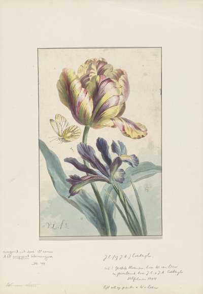 Tulipán e iris de Willem van Leen