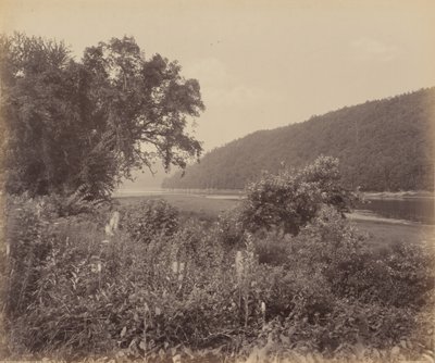 El Susquehanna en Wyalusing de William H. Rau