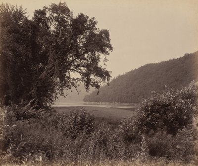 El Susquehanna Cerca de Wyalusing de William H. Rau